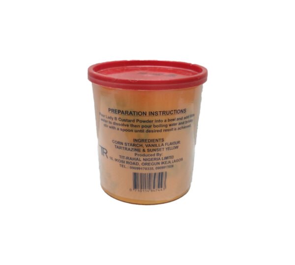 Lady B Custard Powder 500g - Image 3