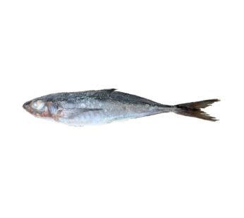 Horse Mackerel (Kote) 1LB