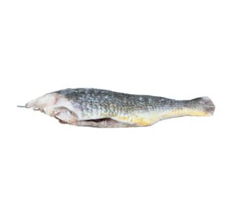 Croaker Fish (Whole) 1LB