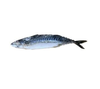 Mackerel (Titus) 1LB