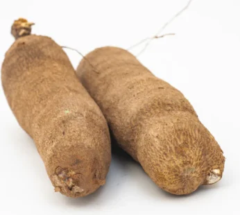 Fresh Ghana Yam 1LB