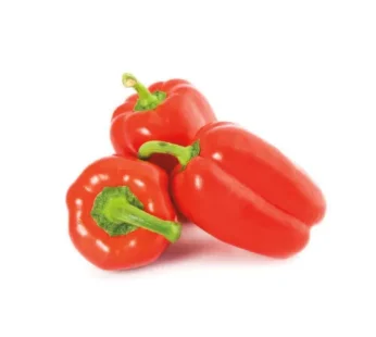 Fresh Bell Pepper 1LB