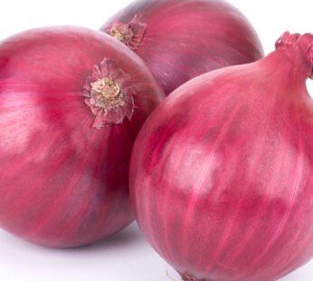 Red / Purple Onion 1LB